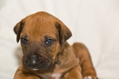 2012-06-18 098